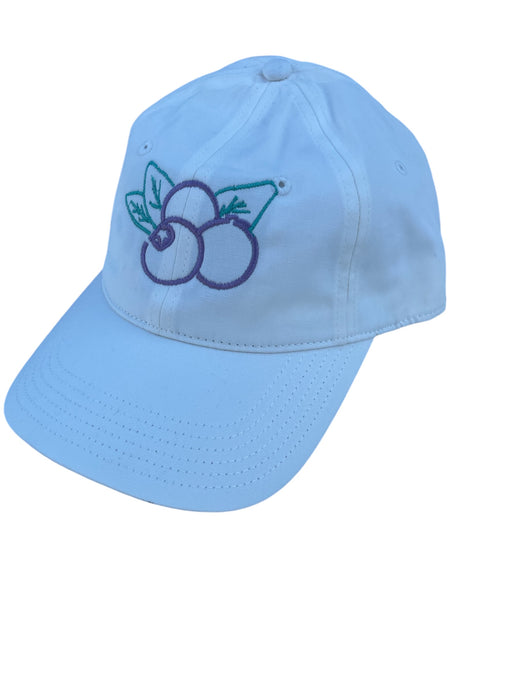 Blueberry natural six panel